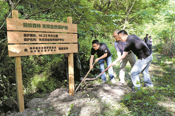 832個(gè)國(guó)家級(jí)貧困縣在阿里平臺(tái)網(wǎng)絡(luò)銷售額已超3100億