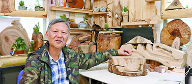 妙手「樟學(xué)友」 枯木又逢春