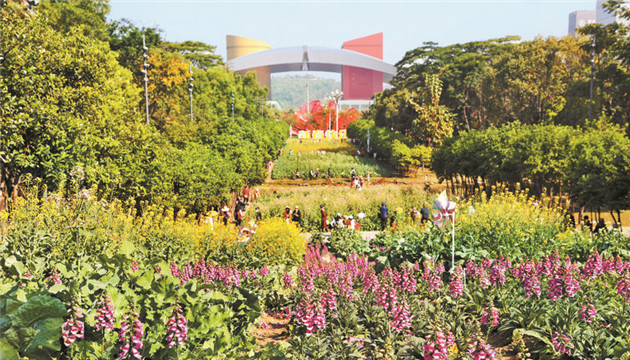 數(shù)讀報(bào)告｜深圳UP UP