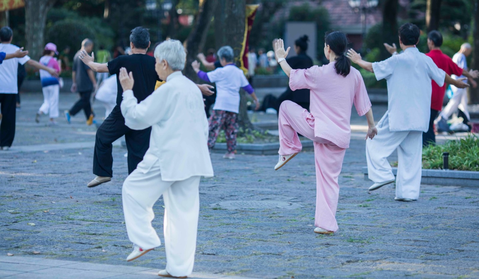 【漫話中醫(yī)】經(jīng)絡(luò)與氣功學(xué)說(shuō)探討