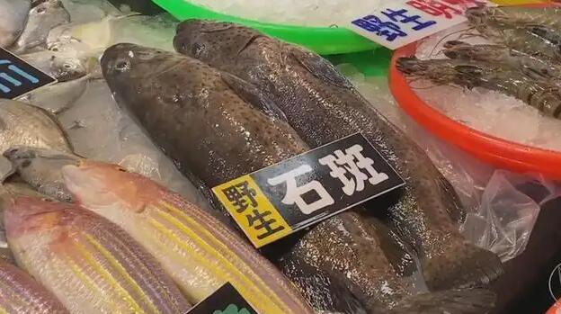 【海峽觀察】臺石斑魚銷陸被叫停不冤