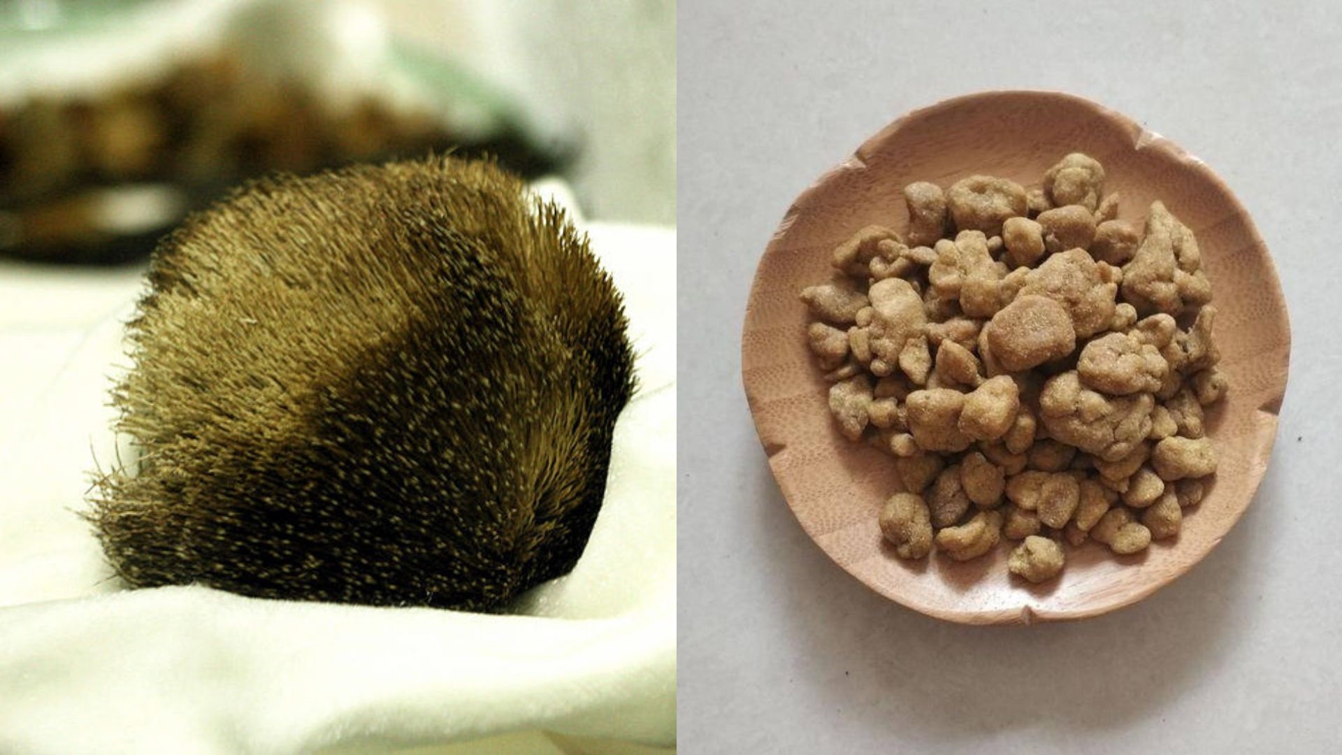 【漫話中醫(yī)】奇「香」無(wú)比與奇「臭」無(wú)比的二味中藥