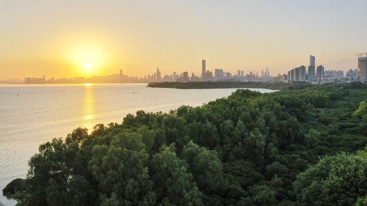 深圳市領(lǐng)導(dǎo)會見沙特阿卜杜拉國王科技大學(xué)客人