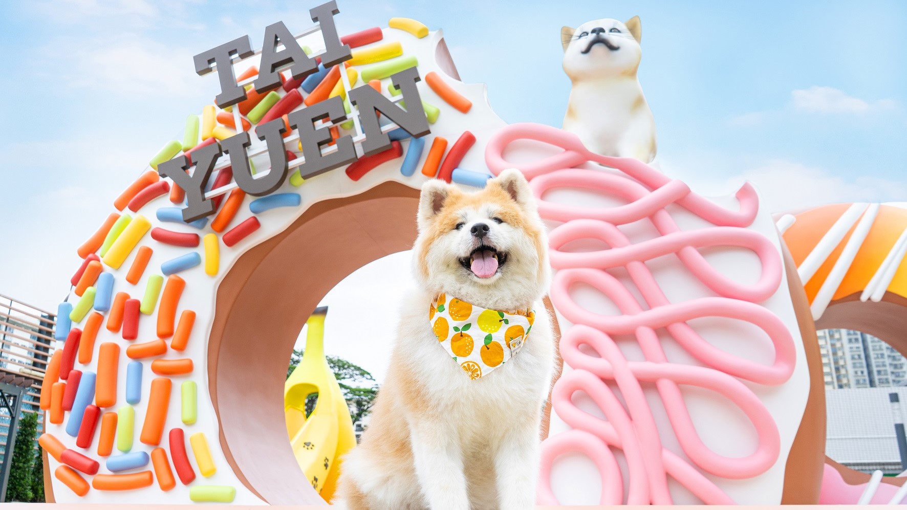 【玩樂(lè)】大埔寵物共享花園 美食造型打卡熱點(diǎn)