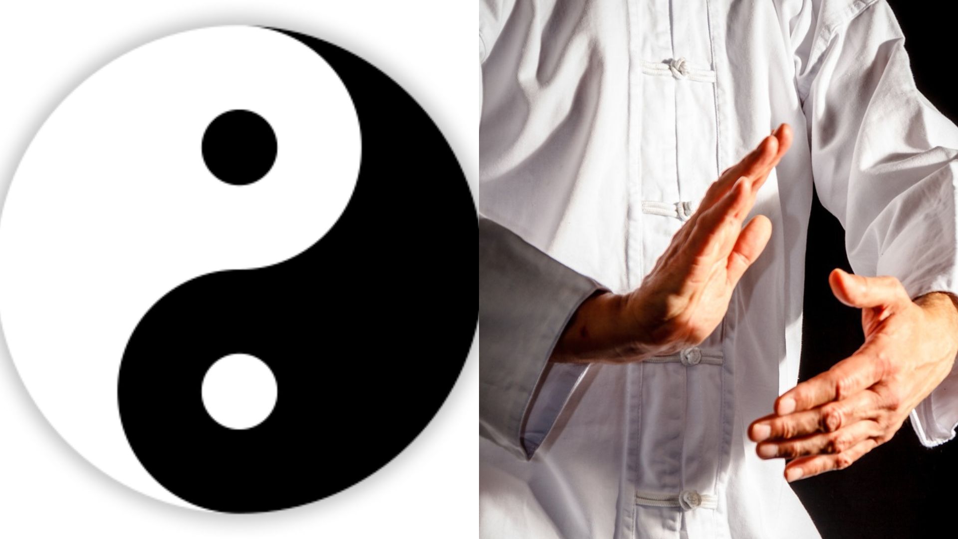 【漫話中醫(yī)】意氣學(xué)說(shuō)