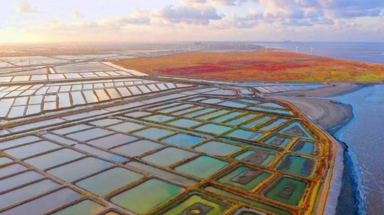 愛上啟東：東臨黃海是東海鎮(zhèn)最鮮明的地域特色