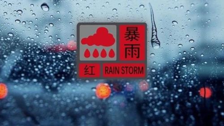 暴雨來襲，收好這份避險秘籍！