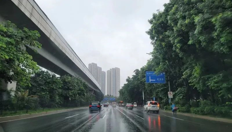 「滑動(dòng)雨量」、「列車效應(yīng)」，暴雨天深圳各方運(yùn)行有序