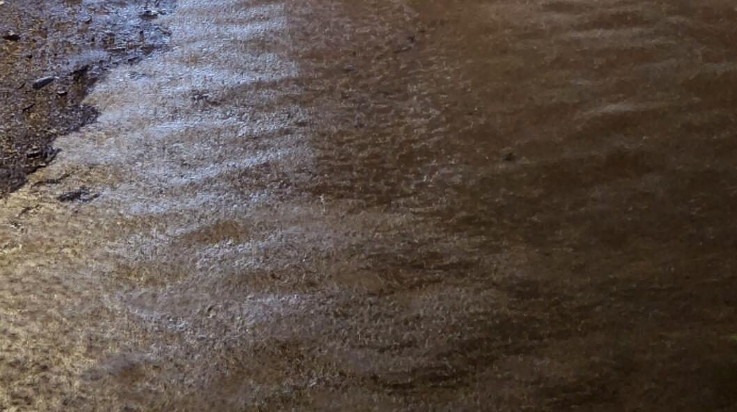 世紀(jì)暴雨｜渠務(wù)署：新界北部水浸與深圳排洪無關(guān)