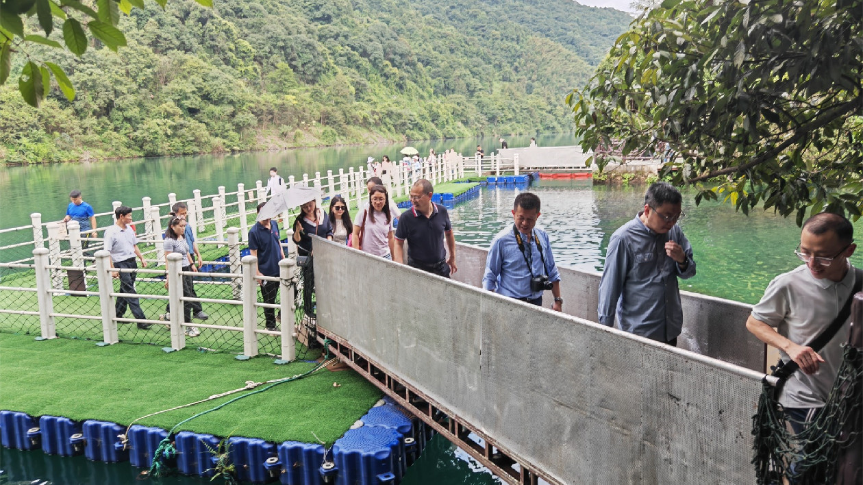 山水畫卷，郴州相見|東江湖生態(tài)價值約為2436億元