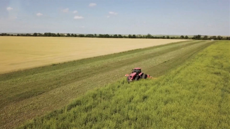 歐盟未延長烏農(nóng)產(chǎn)品進(jìn)口禁令 歐洲多國反對(duì)