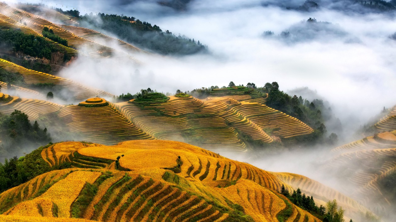 桂26日赴港誠(chéng)邀「秋遊廣西」感受八桂之美