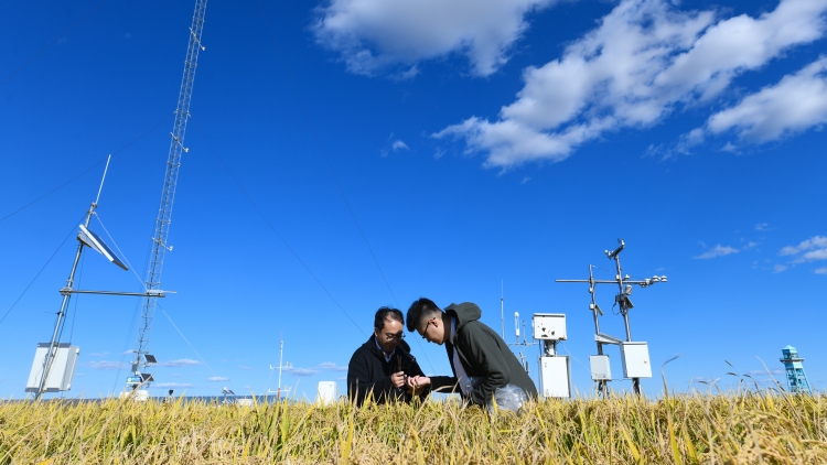《農(nóng)村集體經(jīng)濟(jì)組織會計(jì)制度》印發(fā) 自明年起施行