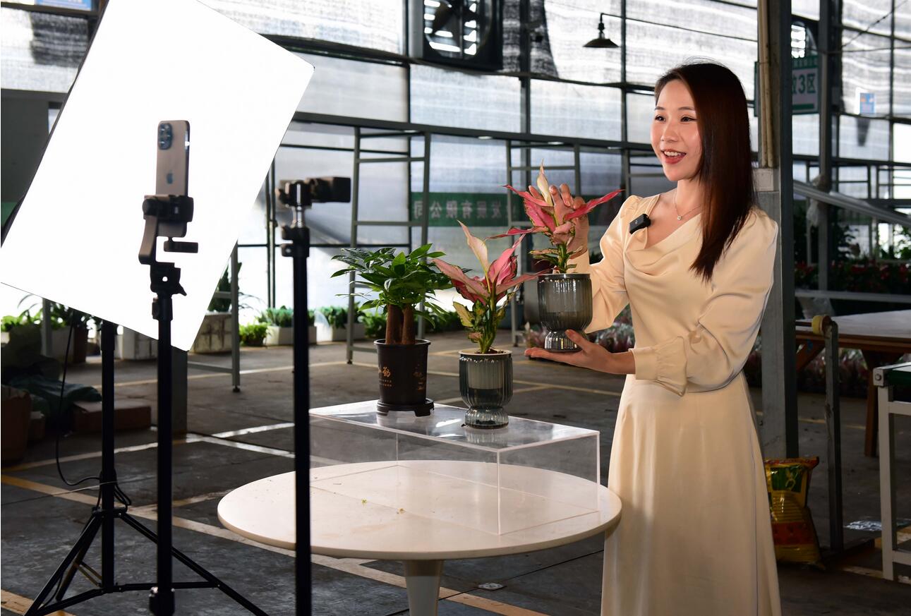 15小時(shí)，直播帶貨超億元！花都區(qū)數(shù)字農(nóng)業(yè)直播節(jié)啟動(dòng)