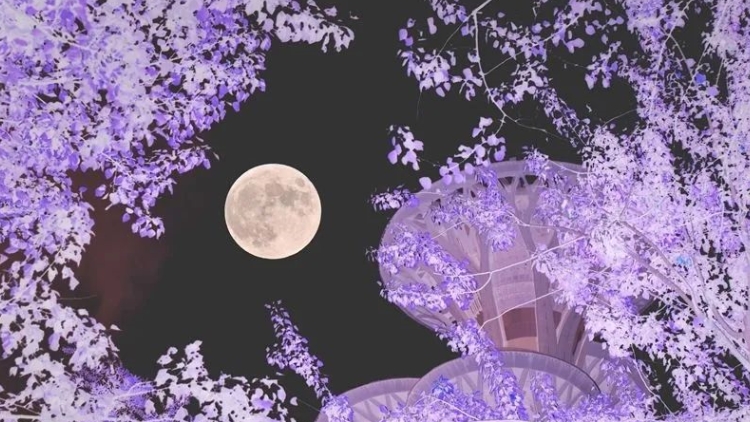 超級月亮刷屏朋友圈！深圳人，快看！