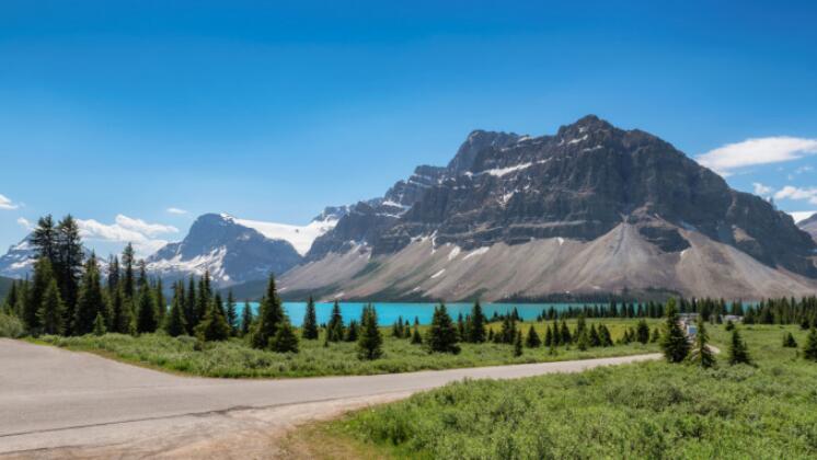 加拿大班夫國(guó)家公園 兩人遭熊襲擊死亡