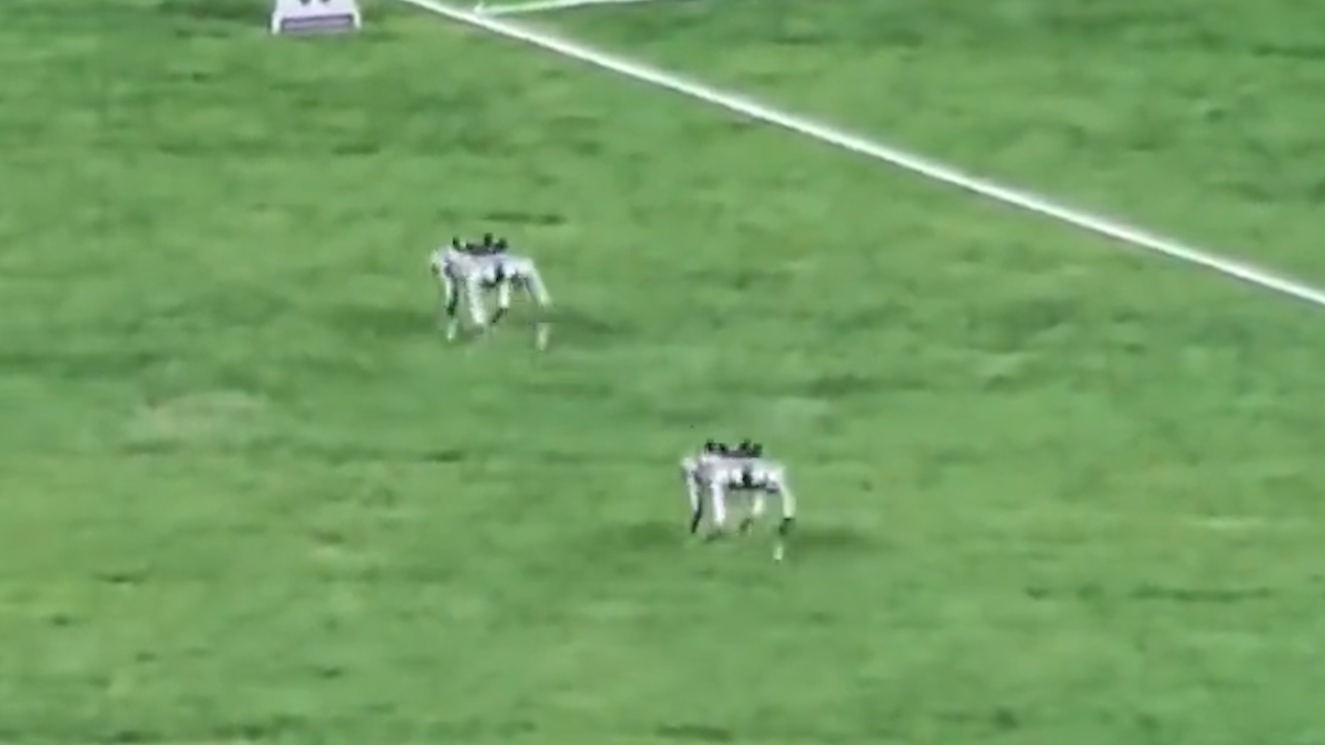 有片丨萌萌的！亞運(yùn)賽場(chǎng)上電子狗擔(dān)起運(yùn)送鐵餅「重」任