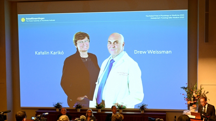 兩美國科學(xué)家獲諾貝爾醫(yī)學(xué)獎 表揚(yáng)研發(fā)新冠疫苗貢獻(xiàn)