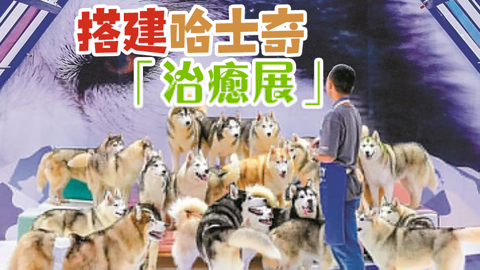 神奇萌寵在哪裏？第10屆深寵展10月13日至15日舉行