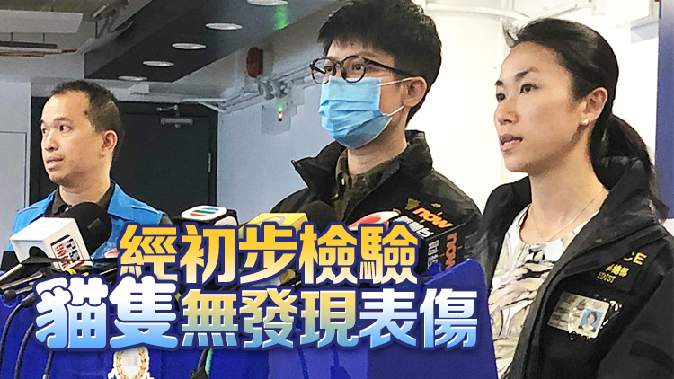 聲稱按「傳統(tǒng)」將病死貓屍掛樹 女飼主及3印傭涉虐畜被捕