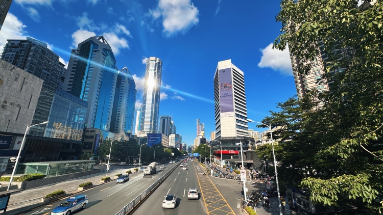 深圳市政府黨組會議召開 深入學(xué)習(xí)貫徹習(xí)近平總書記重要講話重要指示精神