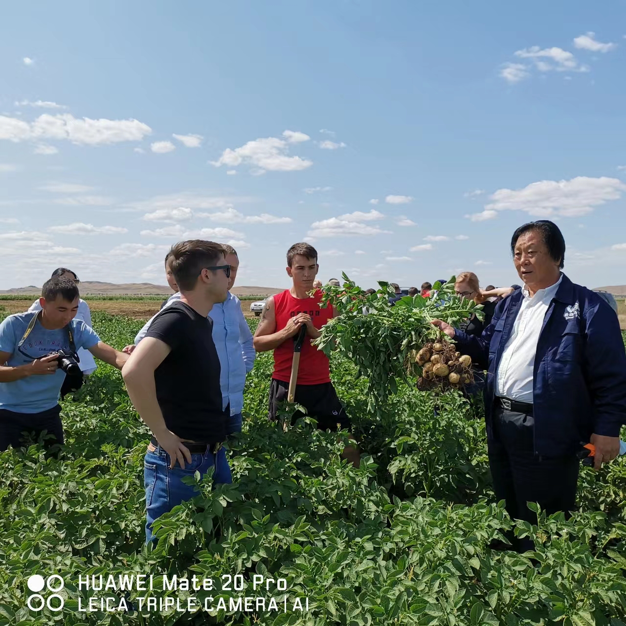 山東樂陵希森集團(tuán)：自主繁育馬鈴薯擺上「一帶一路」沿線國(guó)家餐桌