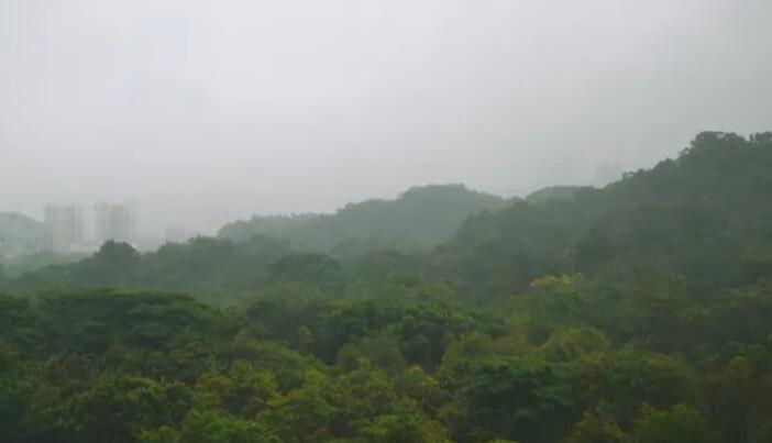 冷空氣正在趕來(lái)！最低氣溫降至21℃ 深圳能否成功入秋？