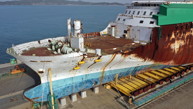 韓國(guó)「世越」號(hào)救援不力案 9人被判無(wú)罪