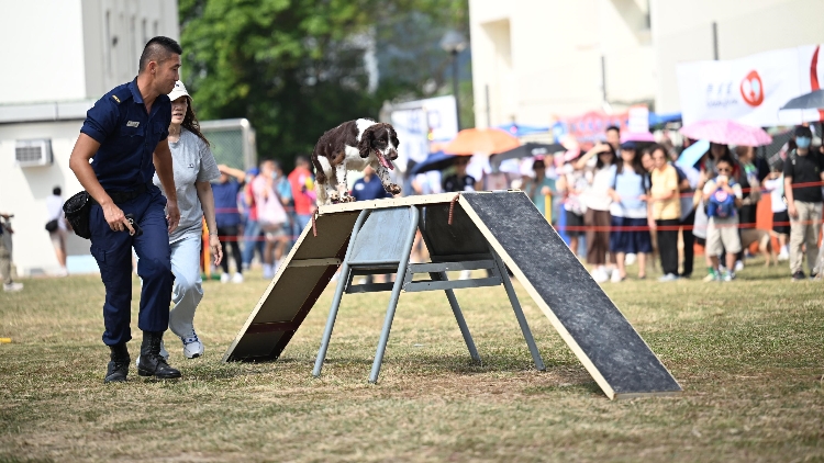 懲教署今日舉行秋季賣物會(huì) 吸引逾9000人入場