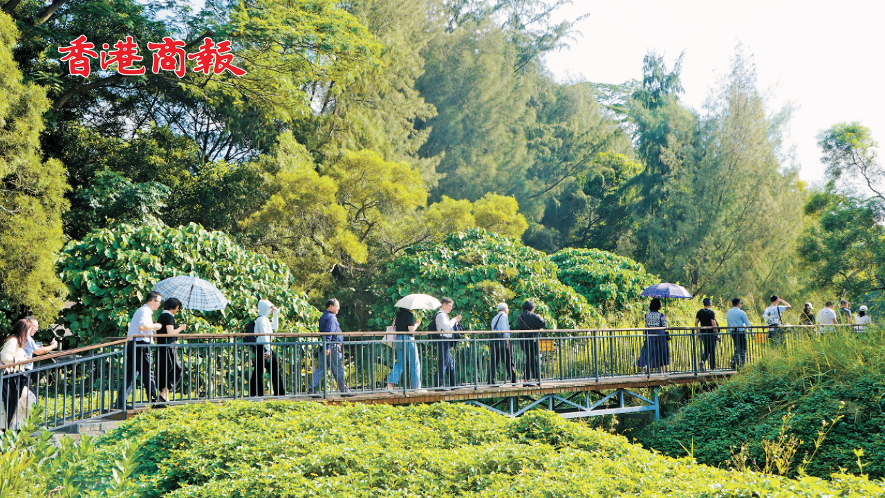 有片丨世界華文媒體社長(zhǎng)總編輯參訪紅樹(shù)林 領(lǐng)略綠美深圳和諧共生