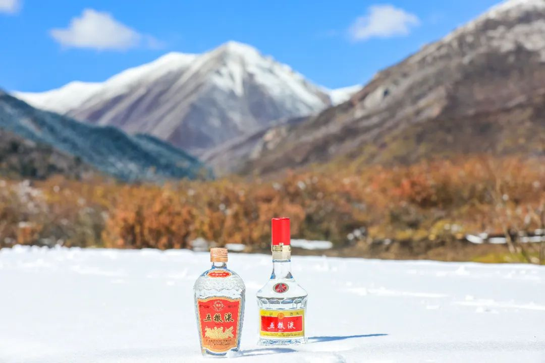 探尋岷江之韻 五糧液唱響綠色低碳時代強(qiáng)音