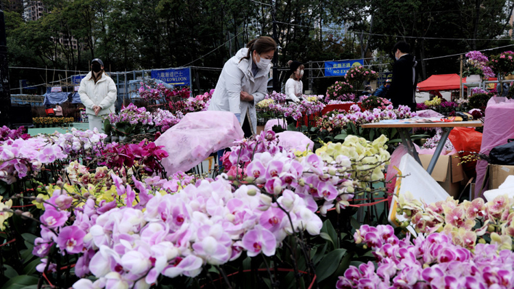 食環(huán)署：新界區(qū)農(nóng)曆年宵市場(chǎng)攤位23日起公開(kāi)競(jìng)投