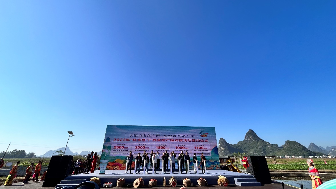 2023年「桂字號(hào)」廣西金桔產(chǎn)銷(xiāo)對(duì)接簽約金額9300萬(wàn)元