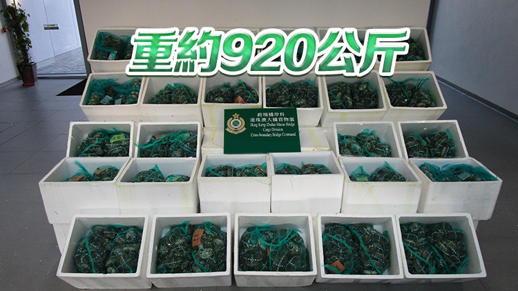 海關(guān)檢獲6400隻走私大閘蟹市值約39萬(wàn)元