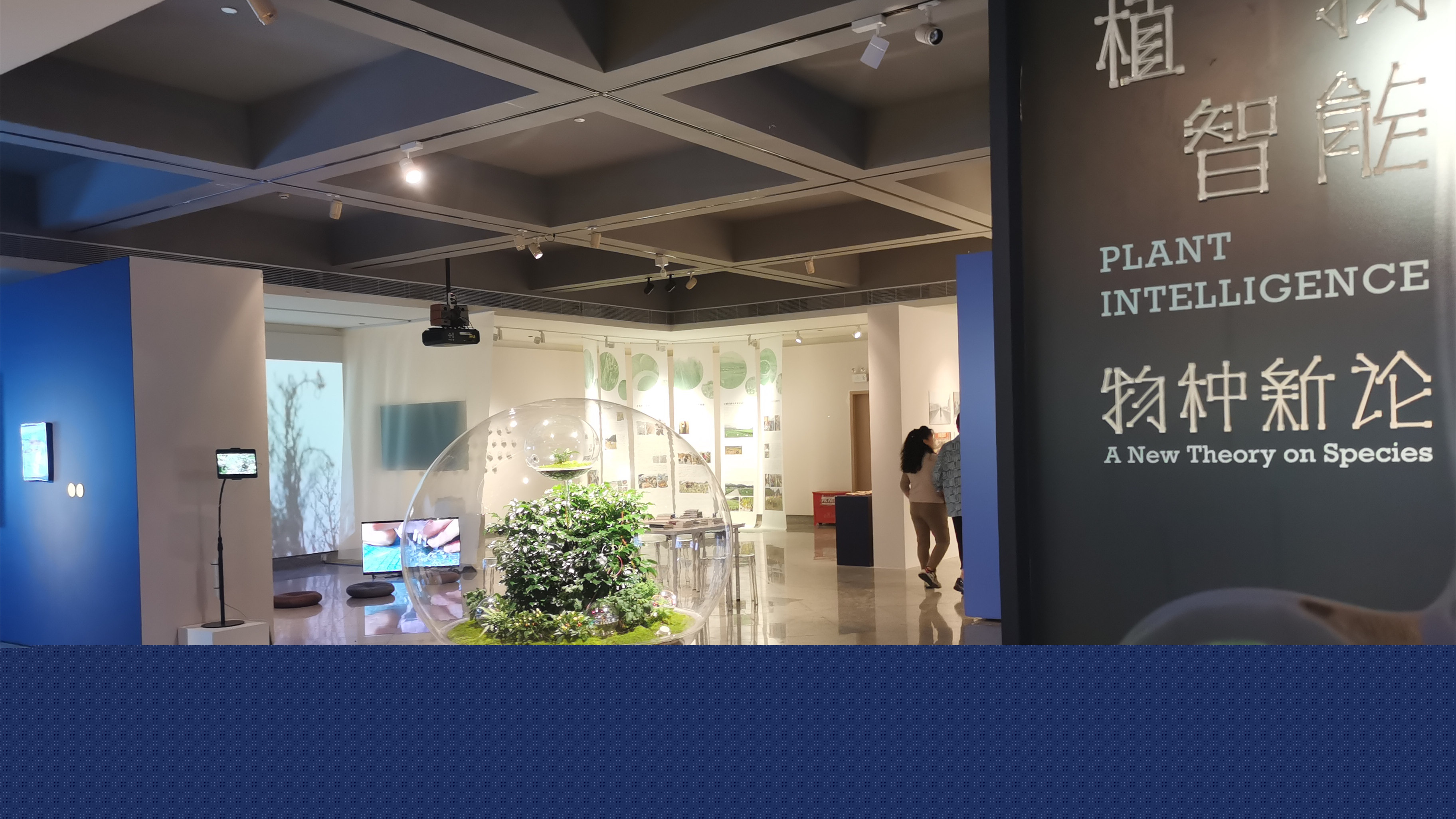 「植物智能——物種新論」亮相深圳關(guān)山月美術(shù)館