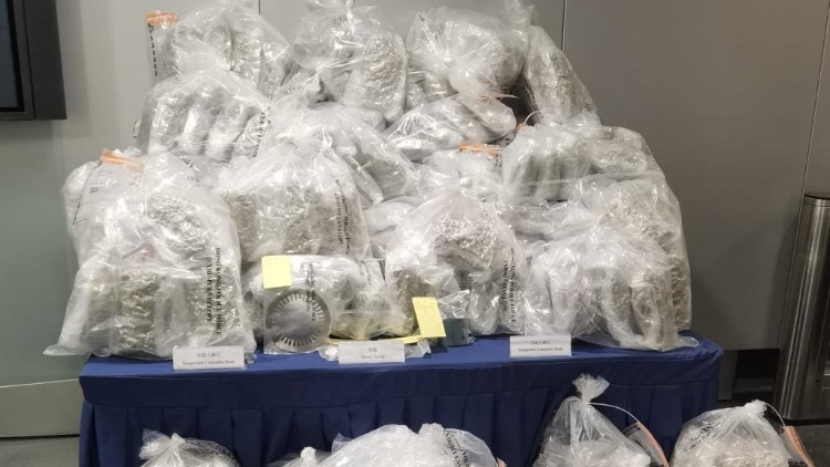 警破毒品案拘3男 檢3100萬(wàn)元大麻花