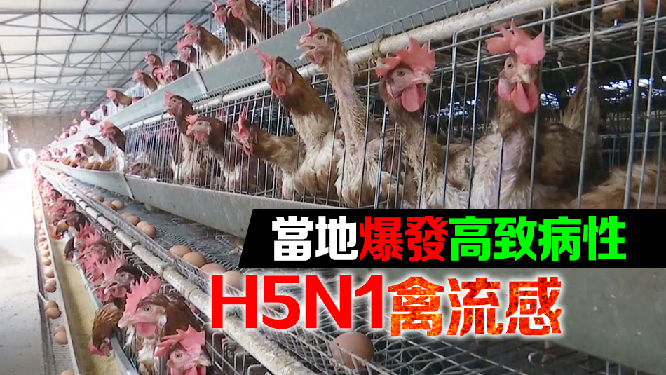 本港暫停進(jìn)口比利時(shí)和德國(guó)部分地區(qū)禽肉及禽類產(chǎn)品