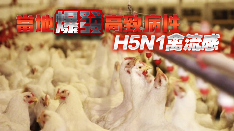 本港暫停進(jìn)口美國(guó)南達(dá)科他州Day縣禽肉及禽類產(chǎn)品