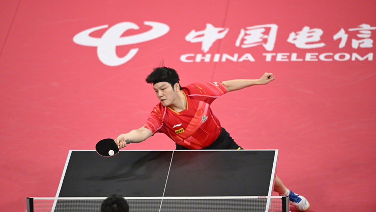 祝賀！混團(tuán)世界盃國(guó)乒奪冠