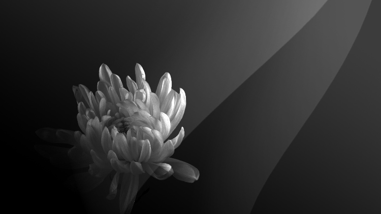 深圳市政協原副主席陶篤純逝世 曾被譽為醫(yī)療器械領域「黃埔軍校校長」