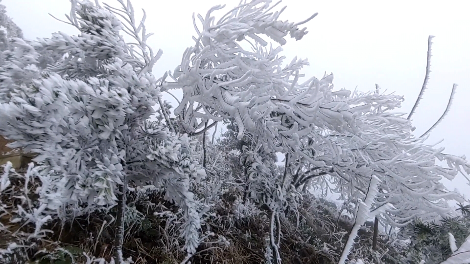 美不勝收！廣東樂(lè)昌多地現(xiàn)霧凇景觀