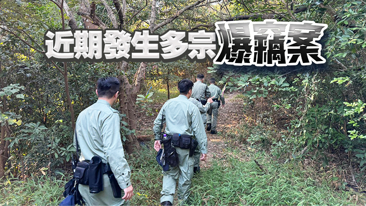 將軍澳警區(qū)一連8日反爆竊行動 打擊預防爆竊罪行