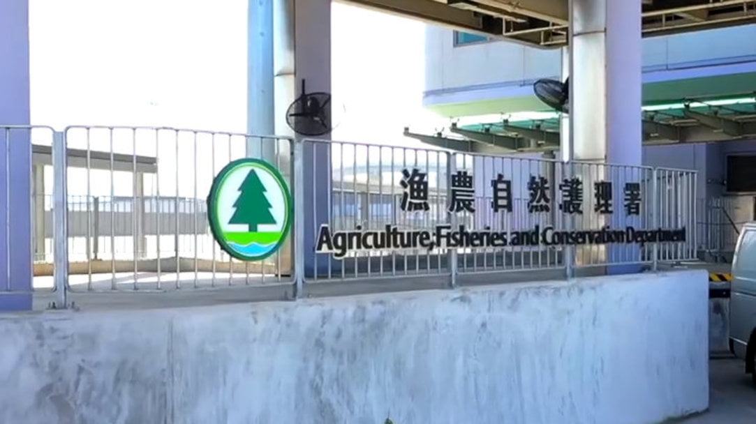 漁護(hù)署：綠翅鴨屍體對(duì)H5N1禽流感呈陽(yáng)性反應(yīng)