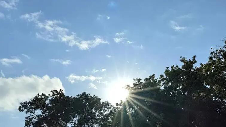 「壓線」入冬成功！然而才官宣就要回暖？本周深圳氣溫或又回「2」字頭