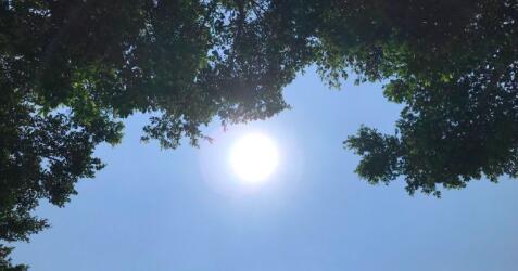 氣溫逐步回升！廣州氣溫將回「2」字頭