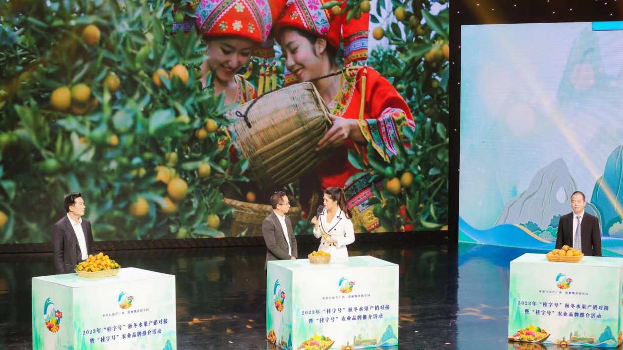 廣西力推甜蜜「桂果」銷(xiāo)全國(guó)