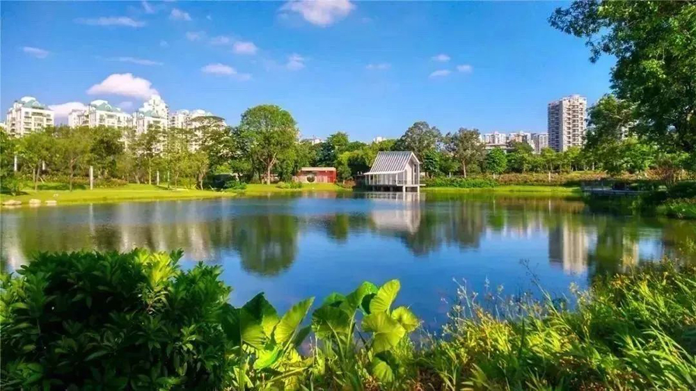 元旦起開放，深圳福田免費露營公園+1