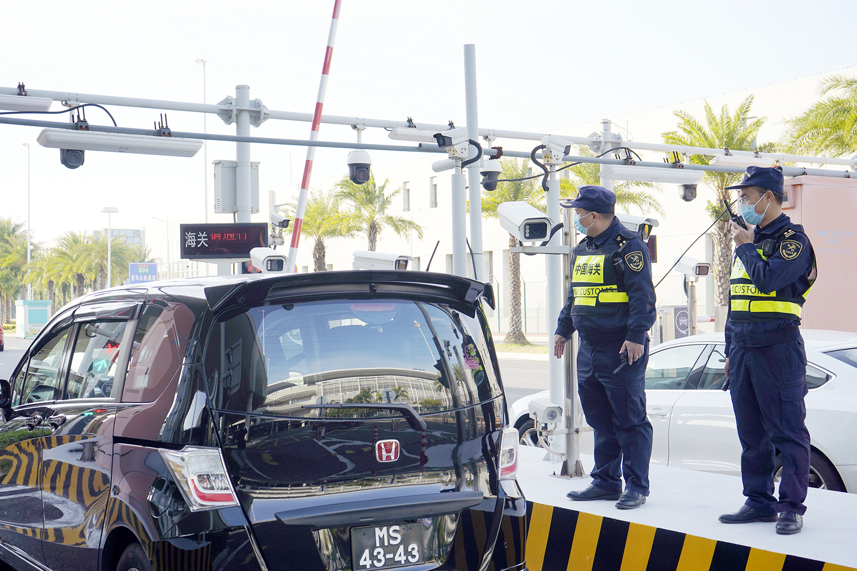 港澳單牌車過半！港珠澳大橋2023年客車通車量超268萬(wàn)輛次