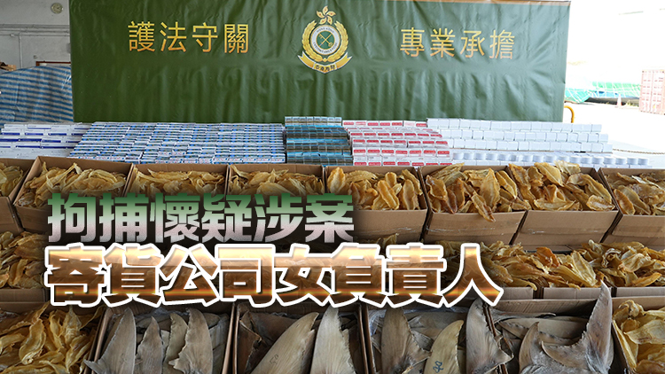海關(guān)葵涌偵破以遠(yuǎn)洋船走私貨物案 檢值600萬花膠魚翅等