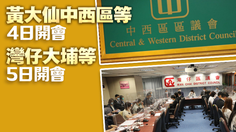 多區(qū)區(qū)議會本周召開首次會議 討論籌辦推動地區(qū)經(jīng)濟(jì)發(fā)展及設(shè)置「打卡」地標(biāo)等